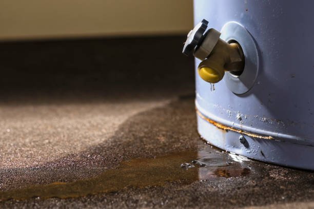 Best Local water damage restoration  in Forest, VA