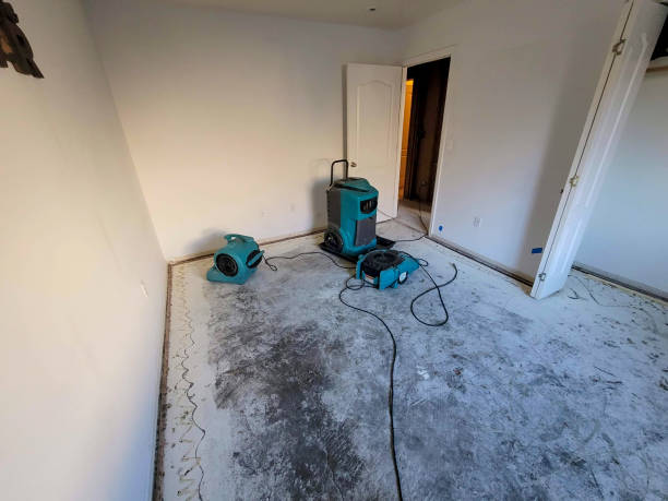 Best Commercial water damage restoration  in Forest, VA