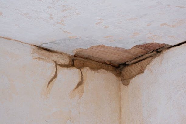Water damage restoration experts in Forest, VA