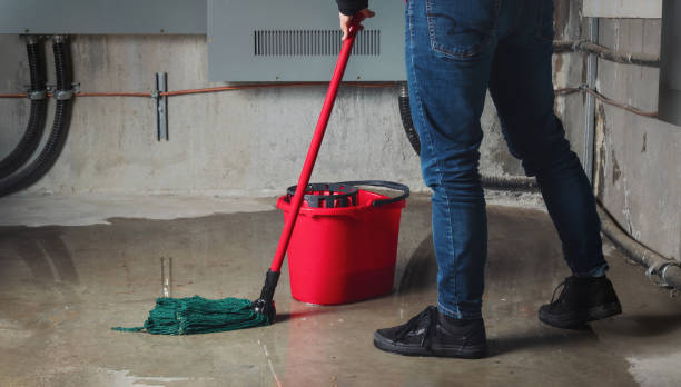 Forest, VA Water damage restoration Pros