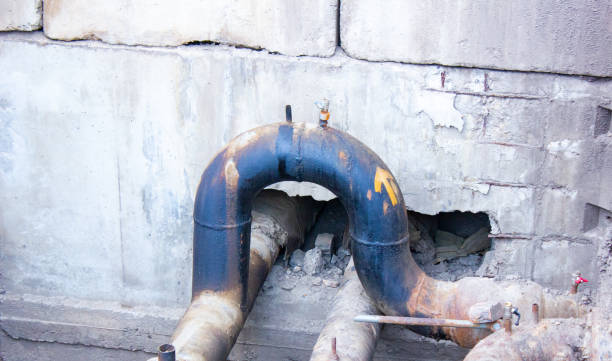 Best Local water damage restoration  in Forest, VA